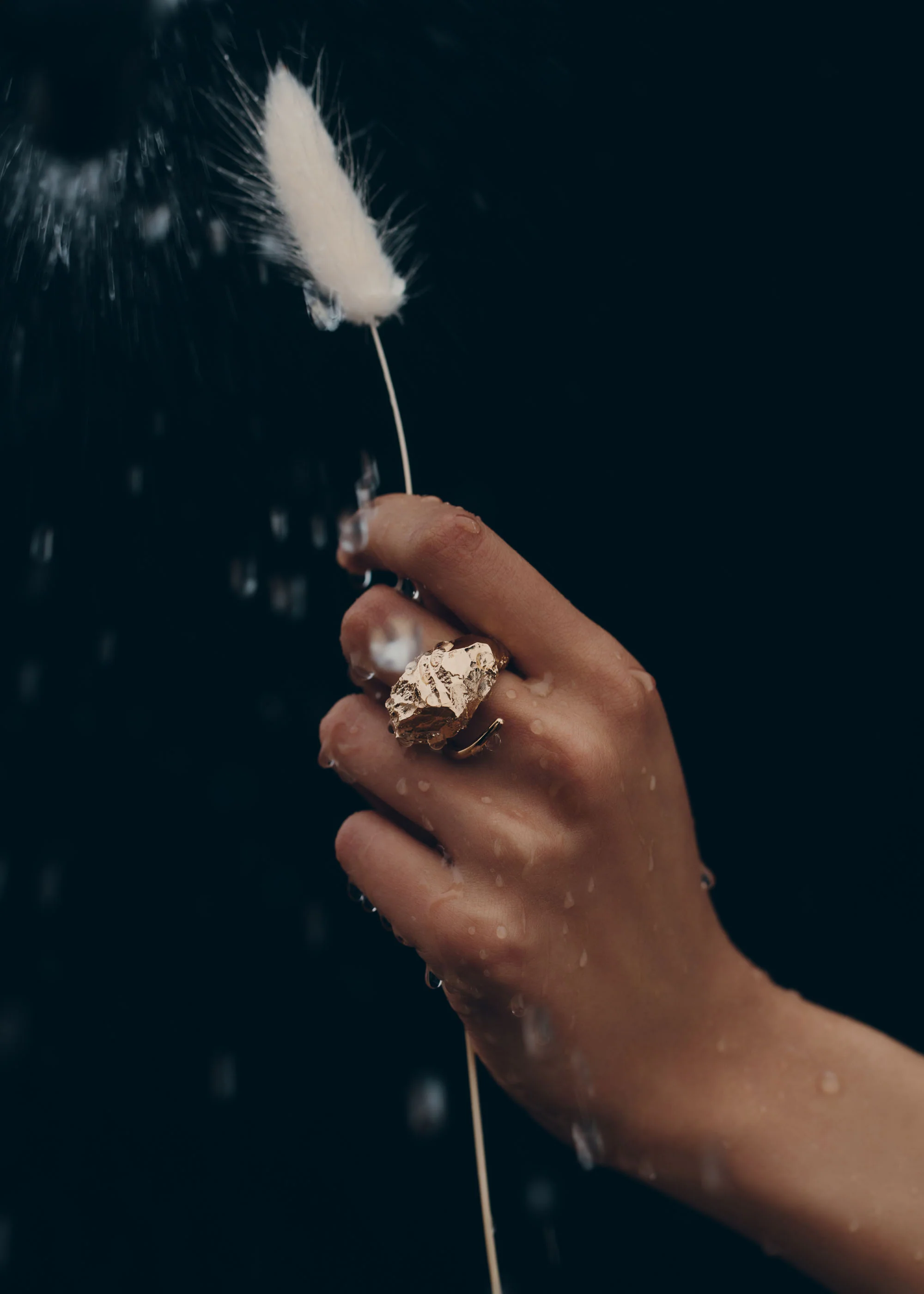 Eroz Ring - 24 carat gold gilded - Image 5