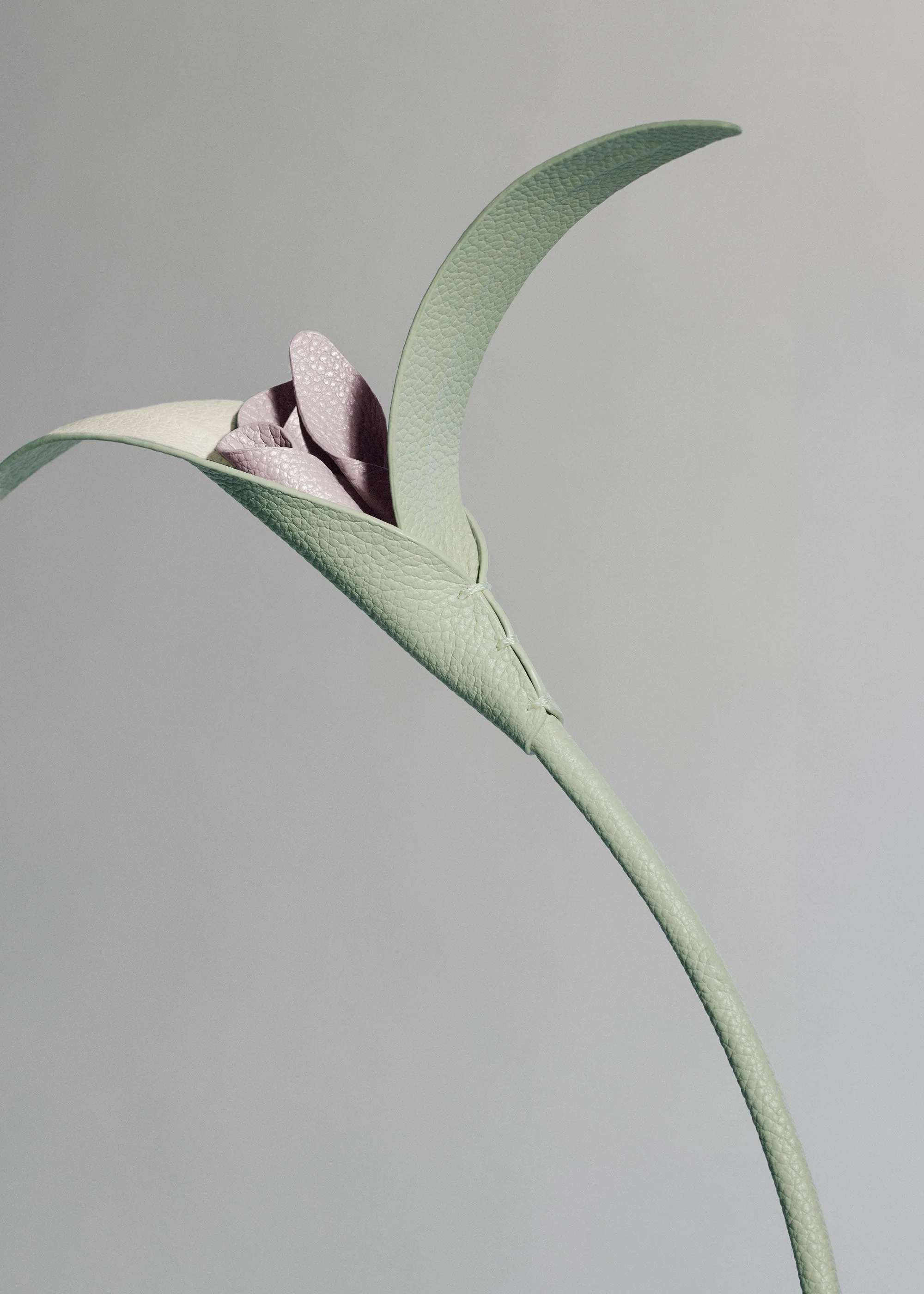 Touka Flower - Fresh Almond - Image 3