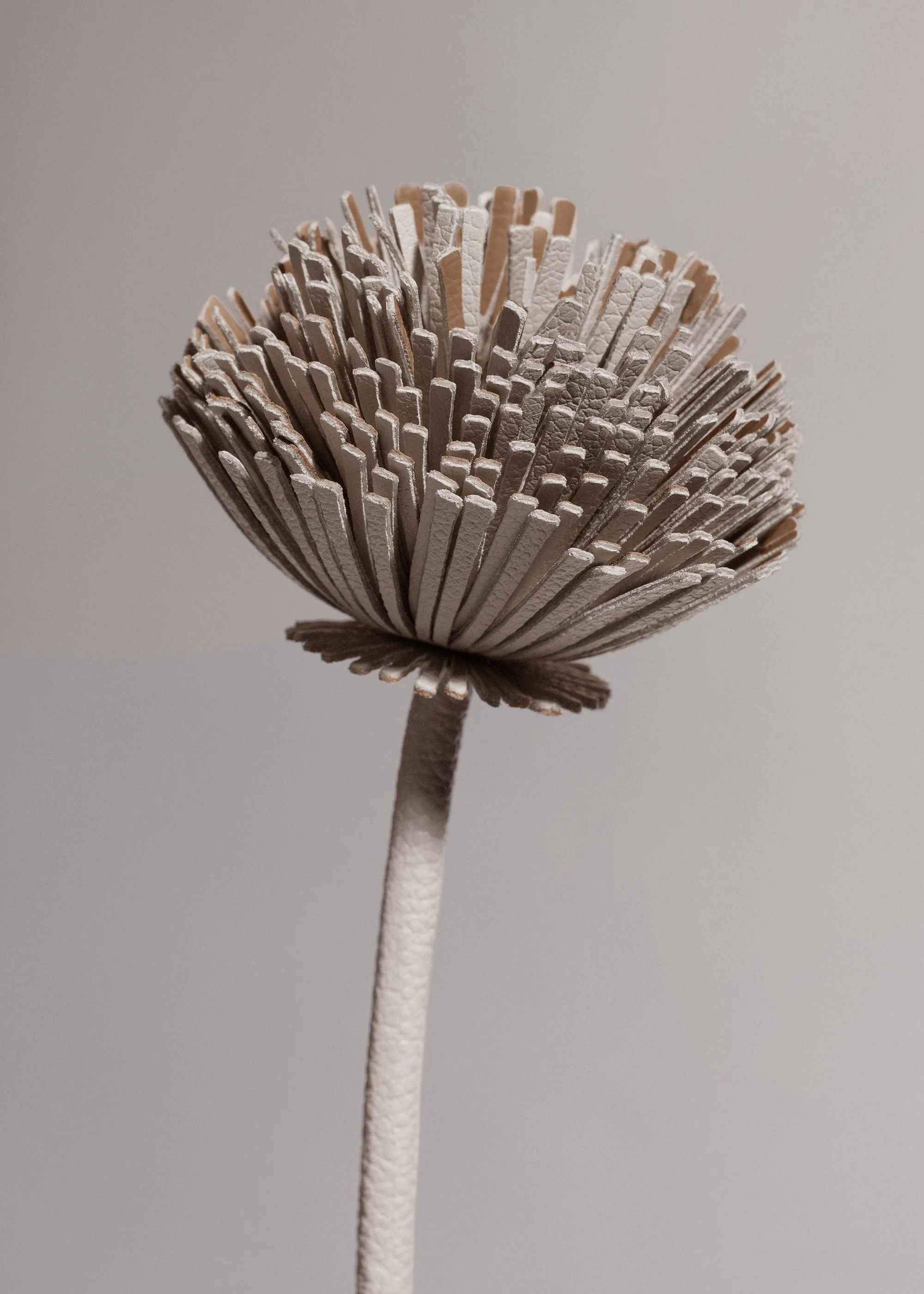 Tul Flower - Chalk - Image 3