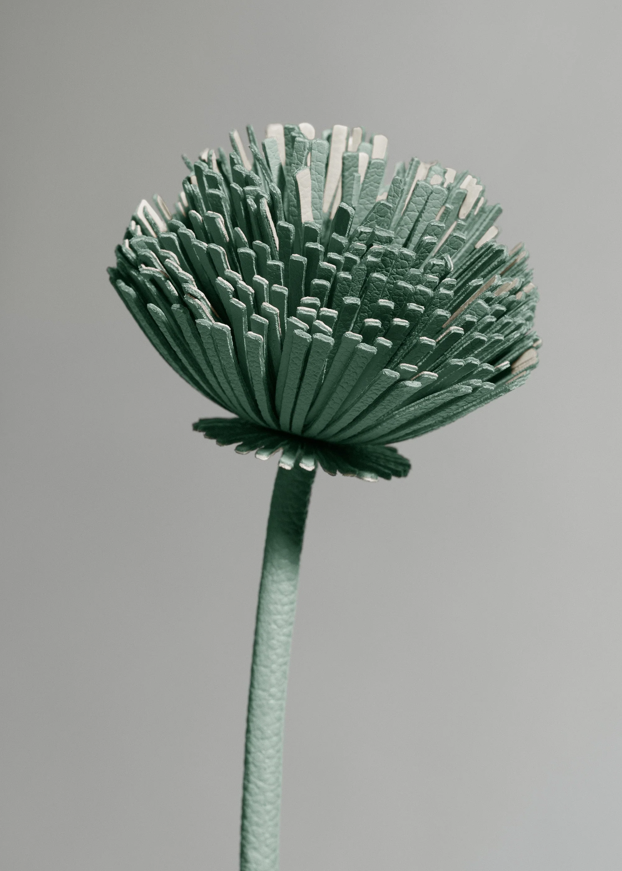 Tul Flower - Fresh Almond - Image 3